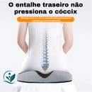 Almofada Anatômica Para Cadeira e Escritório